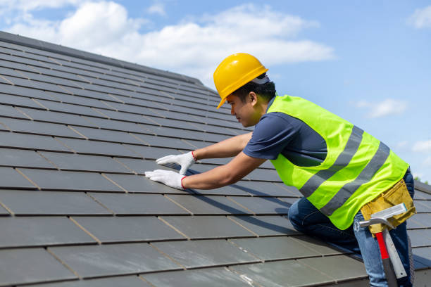 Roof Gutter Cleaning in Camden, AL