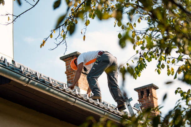 Best Storm Damage Roof Repair  in Camden, AL