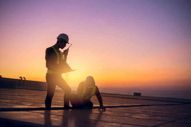 Best Roof Gutter Cleaning  in Camden, AL
