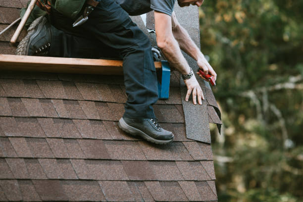 Best Commercial Roofing Services  in Camden, AL