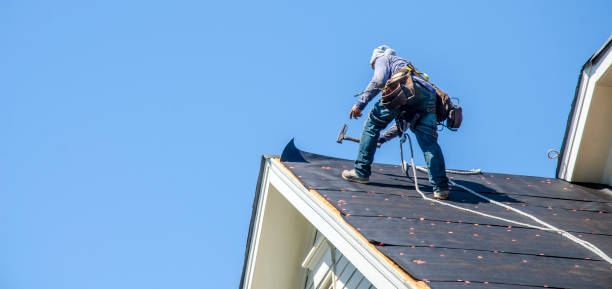 Gutter Installation and Roofing in Camden, AL